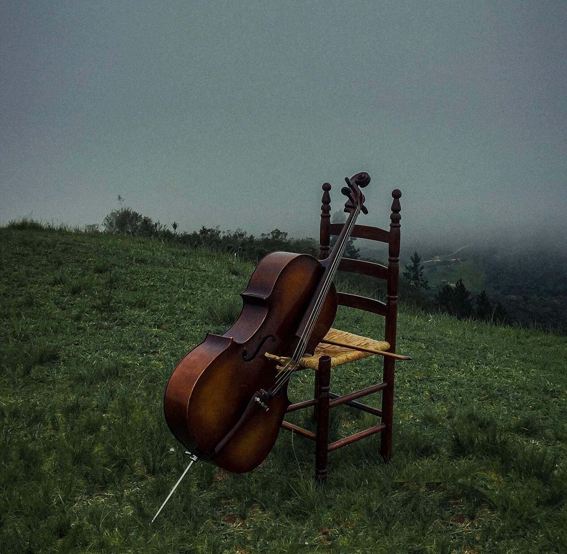 ویولن سل بررسی ساز و معرفی کامل  | Cello