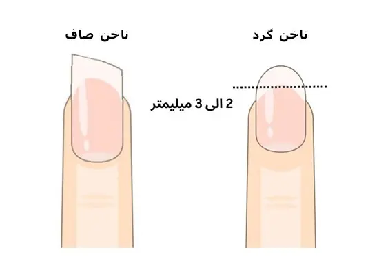 ناخن س تار نوازان-سرصاف-گرد