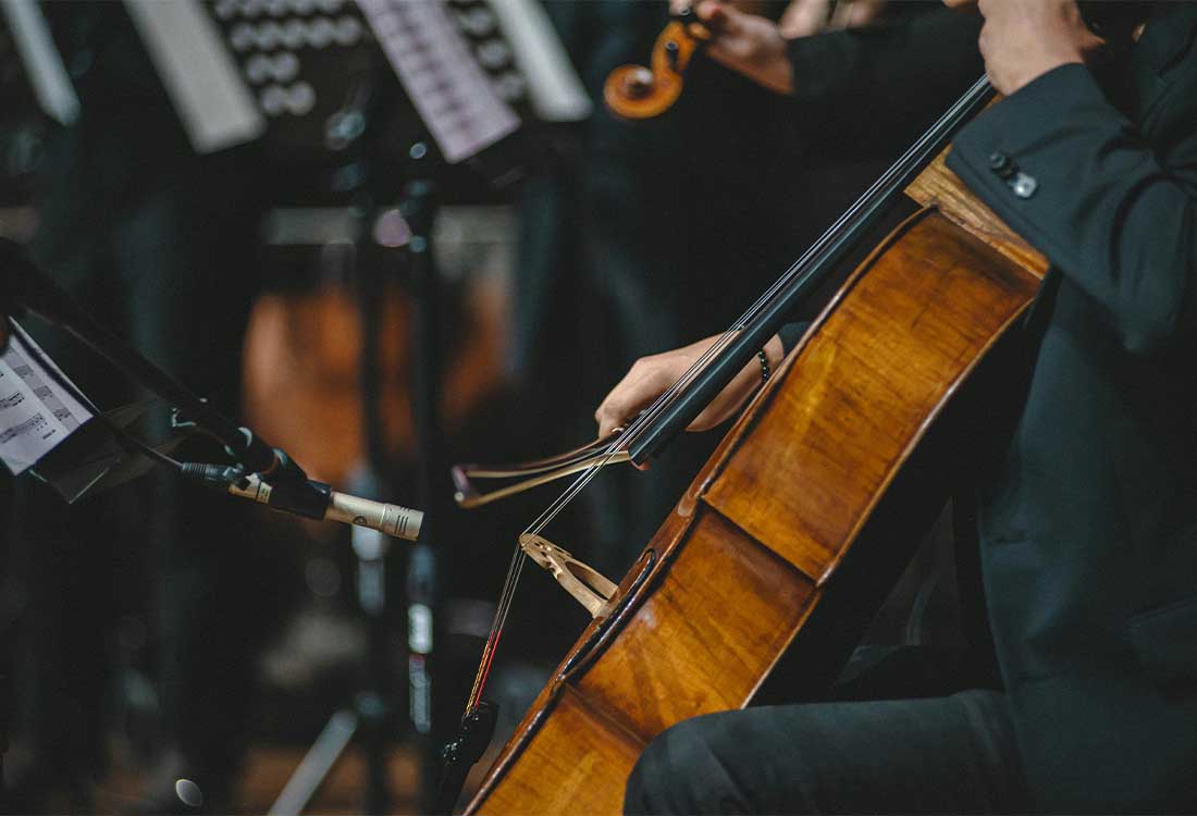 معرفی انواع سازهای آرشه ای معروف و ویژگی‌های آنها