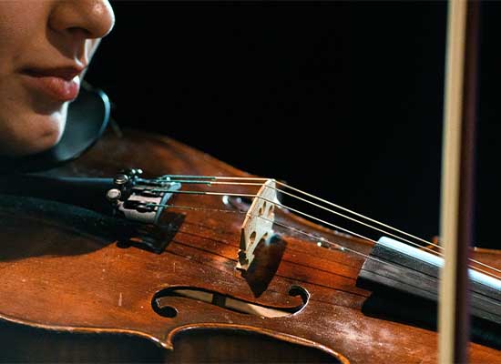 سازهای زهی آرشه ای