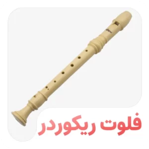 فلوت ریکوردر