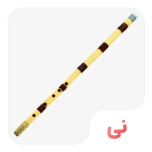 نی