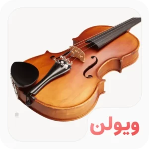 ویولن